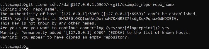 a picture of the output of the git clone command, used from the server machine